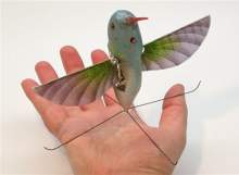 Nano Hummingbird - a-    