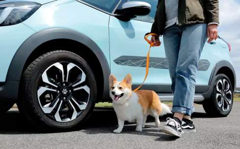 Honda представила линейку аксессуаров для клиентов с собаками