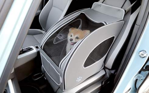Honda представила линейку аксессуаров для клиентов с собаками
