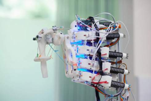 Учёные из Оксфорда научились выращивать живые ткани в роботизированном скелете