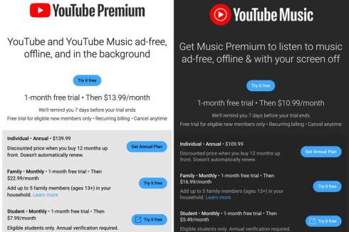 Google   YouTube Premium    $13,99 -       $139,99