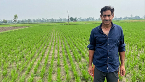 Німецька компанія Bayer оголосила про успішне випробування в Індії нової системи вирощування рису без заливних полів