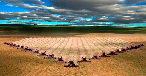Українські аграрії вже зібрали 57,6 мільйона тонн зернових та олійних