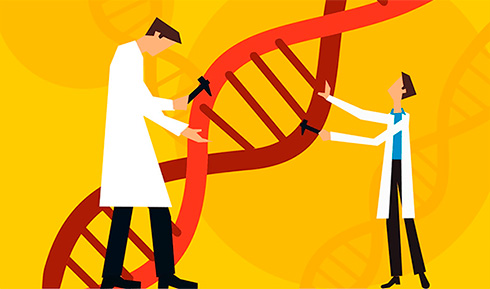 Велика Британія першою у світі ліцензувала інструмент редагування генів CRISPR — для лікування спадкових анемій