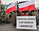 Уряд Польщі схвалив план фінансової допомоги фермерам