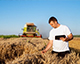 Мінагрополітики затвердило форму бізнес-плану для фермерських господарств