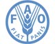 Світові ціни на продовольство у квітні знизилися на 9,5% - ФАО