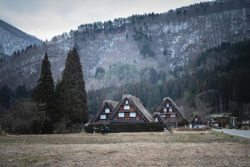 Dry grassy field with buildings near the mountain in Shirakawa Japan