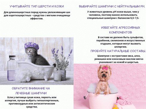 Почему нельзя использовать человеческий шампунь для кошек и собак?