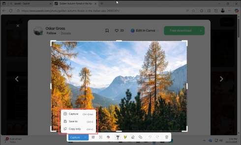 Windows 11   Google Lens      Bing