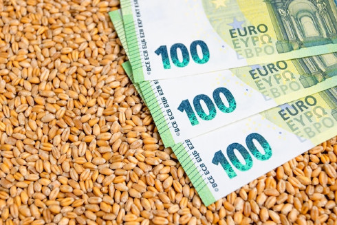 currency-wheat-grain-export-ban-embargo-wheat-flour-supplies-europe-asia-africa_115594-3558.jpg