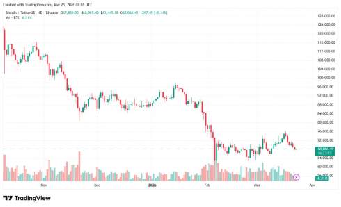 Кожен видобутий біткоїн приносить майнерам до $14 000 збитків Кожен видобутий біткоїн приносить майнерам до $14 000 збитків