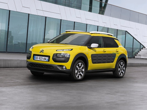 Citro235;n C4 Cactus